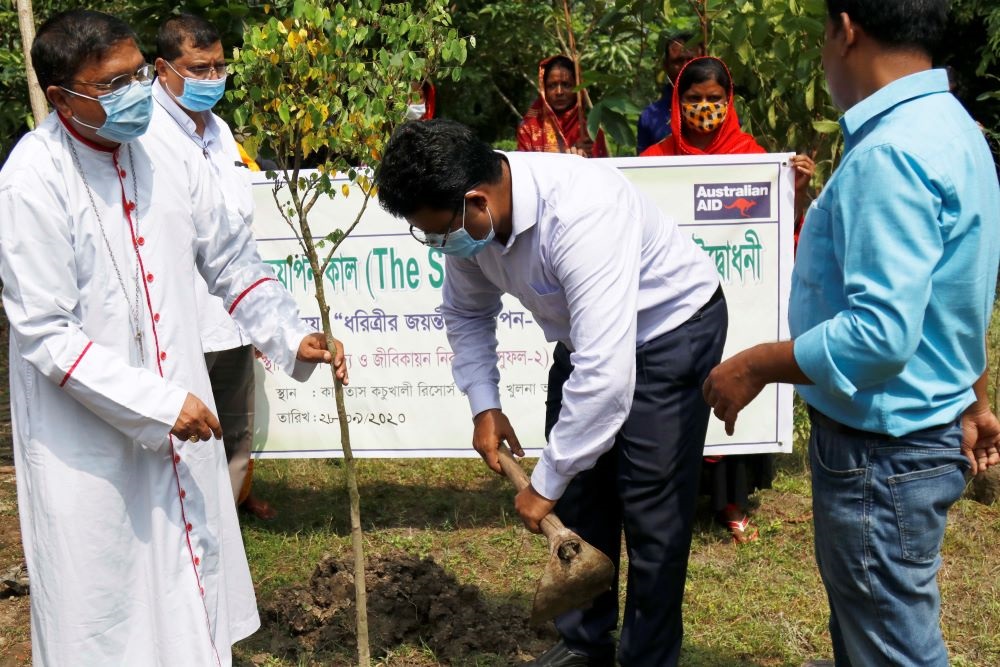 Caritas Bangladesh đã trồng hơn 1 triệu cây xanh